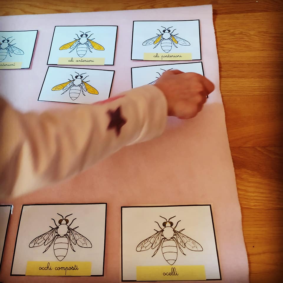 bambini-studio-api