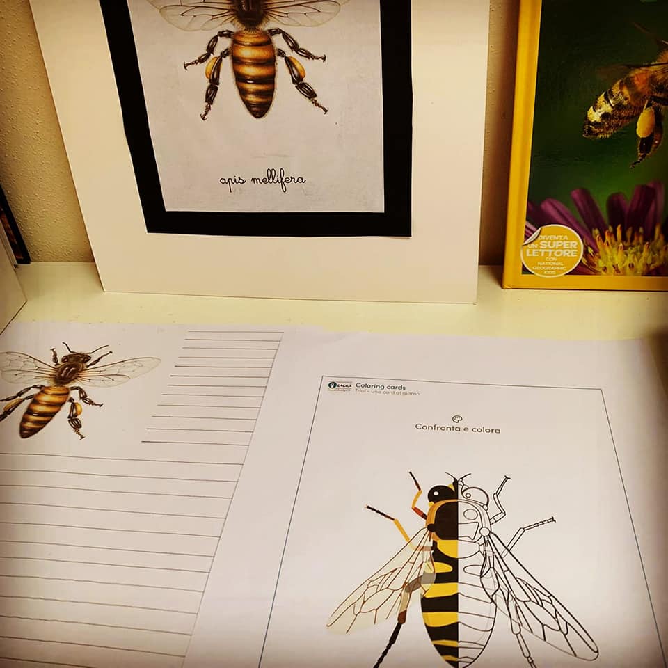studiare-api